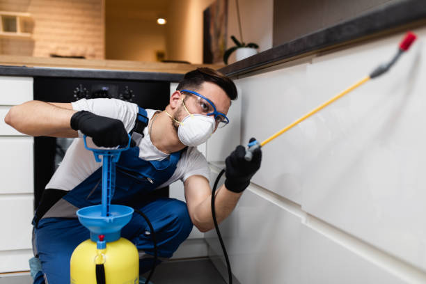 Best Rat Extermination Near Me  in Ypsilanti, MI