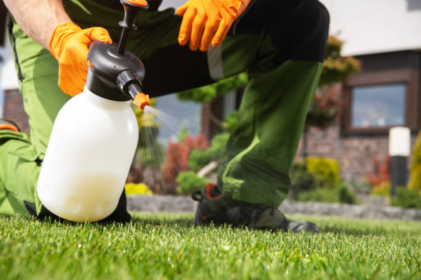 Best Pest Control Near Me  in Ypsilanti, MI