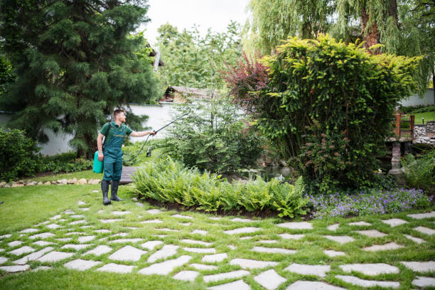 Best Exterminator Services  in Ypsilanti, MI