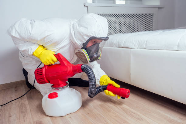 Best Cockroach Control Services  in Ypsilanti, MI