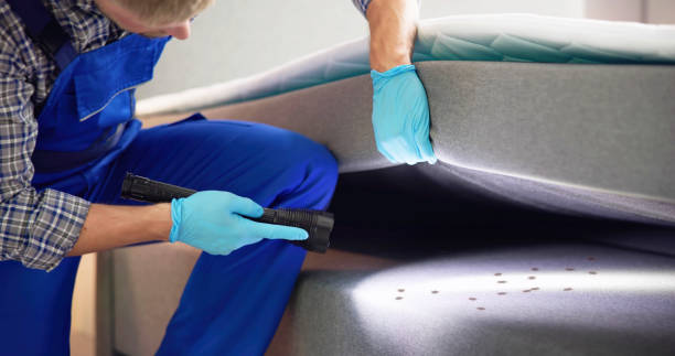 Best Affordable Pest Control Services  in Ypsilanti, MI