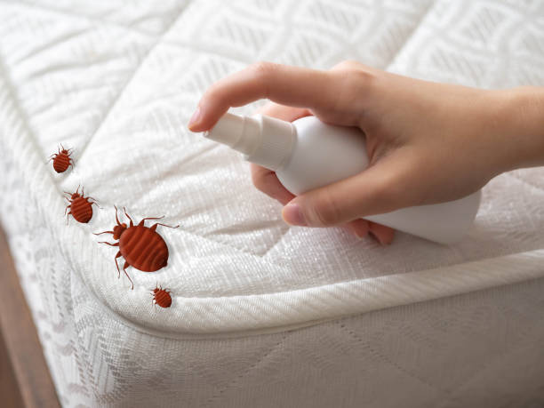 Best Pest Prevention Services  in Ypsilanti, MI