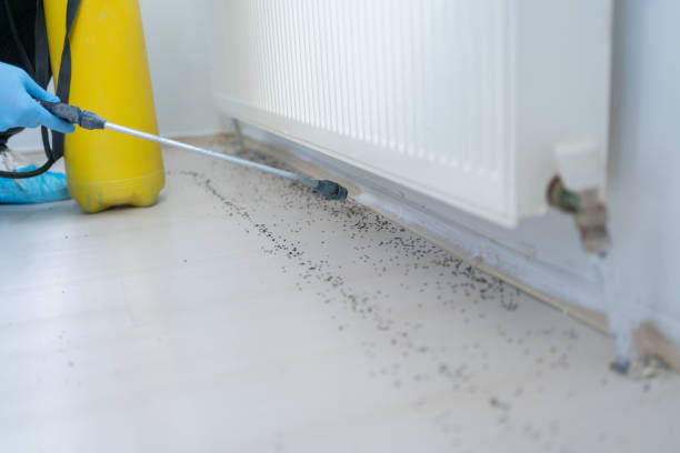 Best Bed Bug Extermination  in Ypsilanti, MI