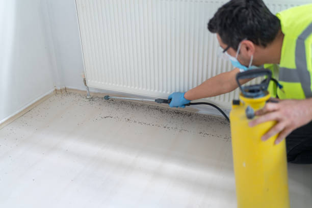 Best Emergency Pest Control  in Ypsilanti, MI