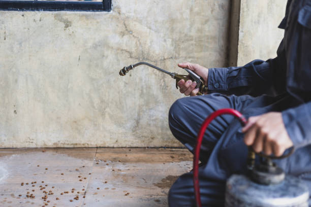 Best Local Pest Control Services  in Ypsilanti, MI