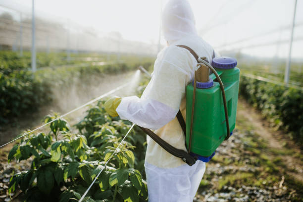 Best Pest Inspection Near Me  in Ypsilanti, MI